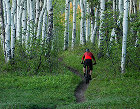 2018 Bike Trail Description 2 Image CTA 33 D