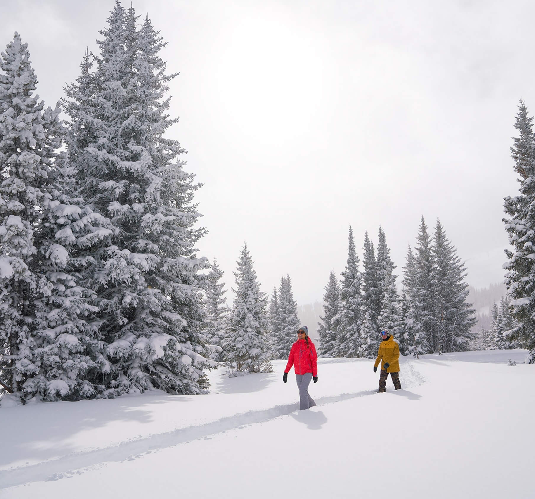 Scenic Snowshoe Trails