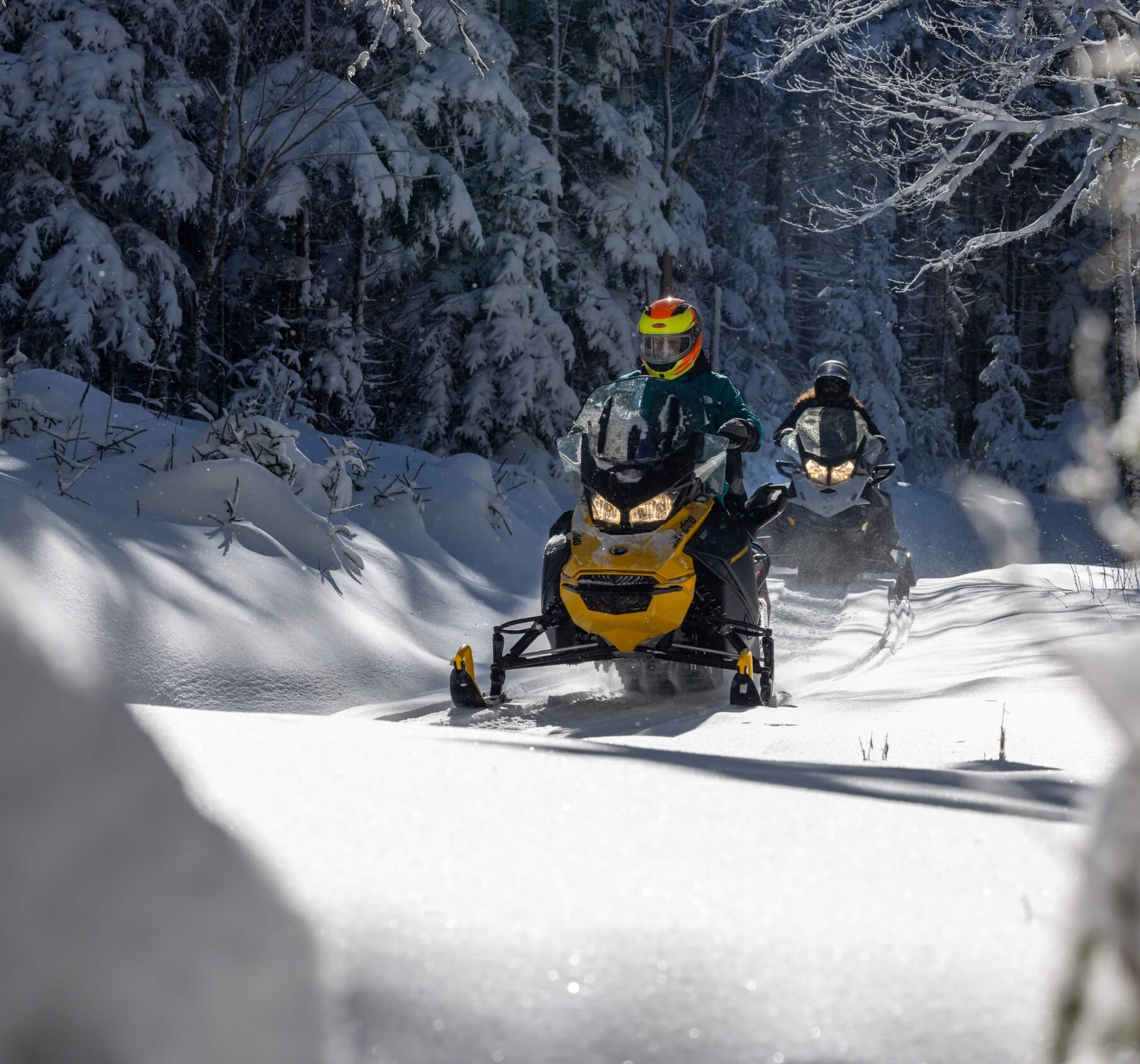 Yellowstone Snowmobile