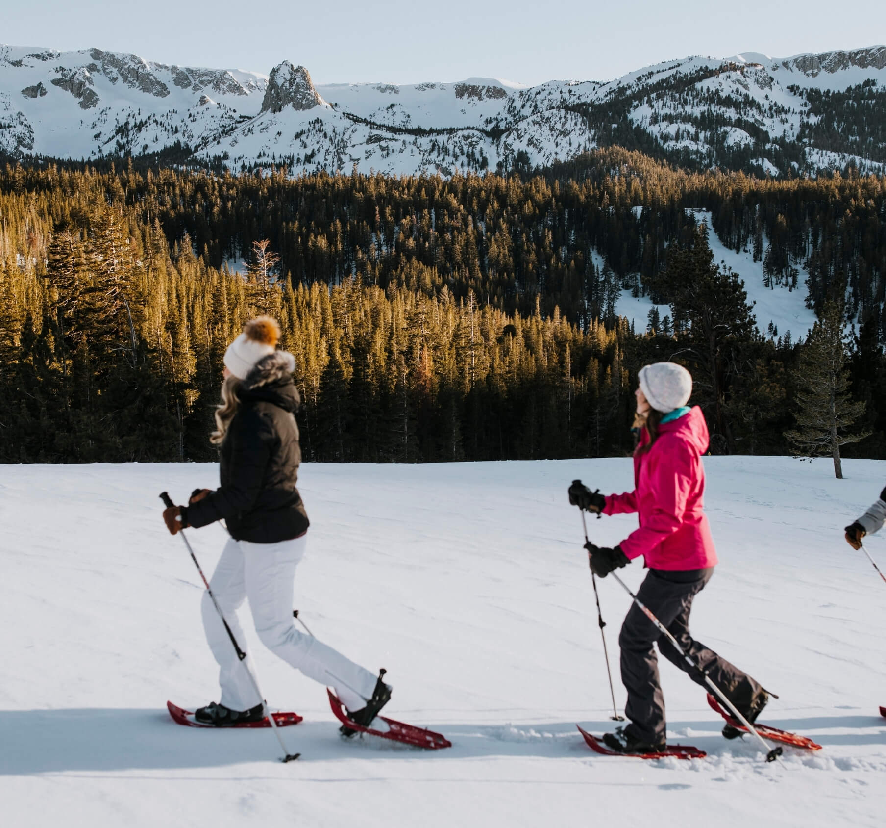 Snowshoe the Tahoe Rim