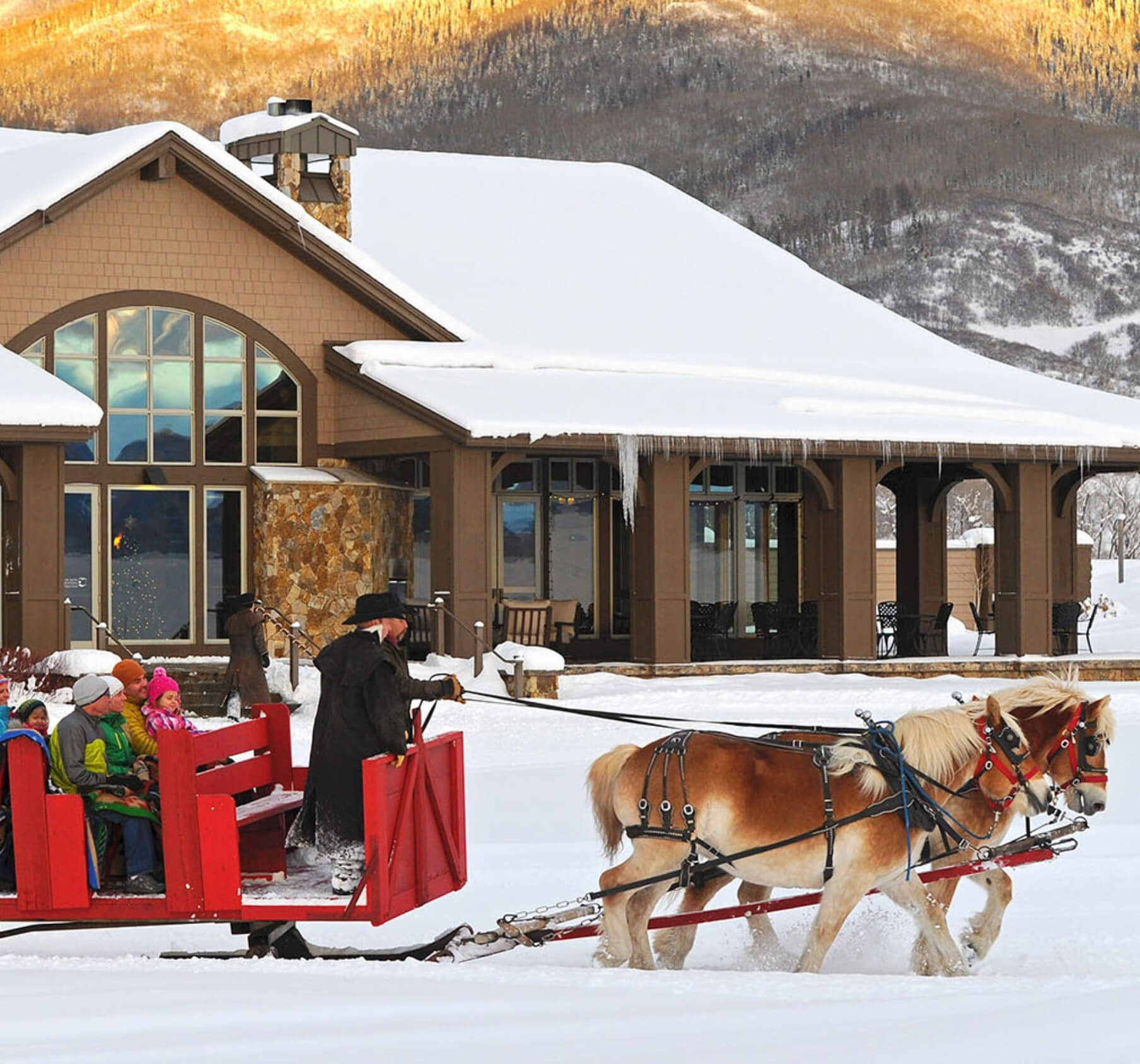 Horse-Drawn Sleigh Ride