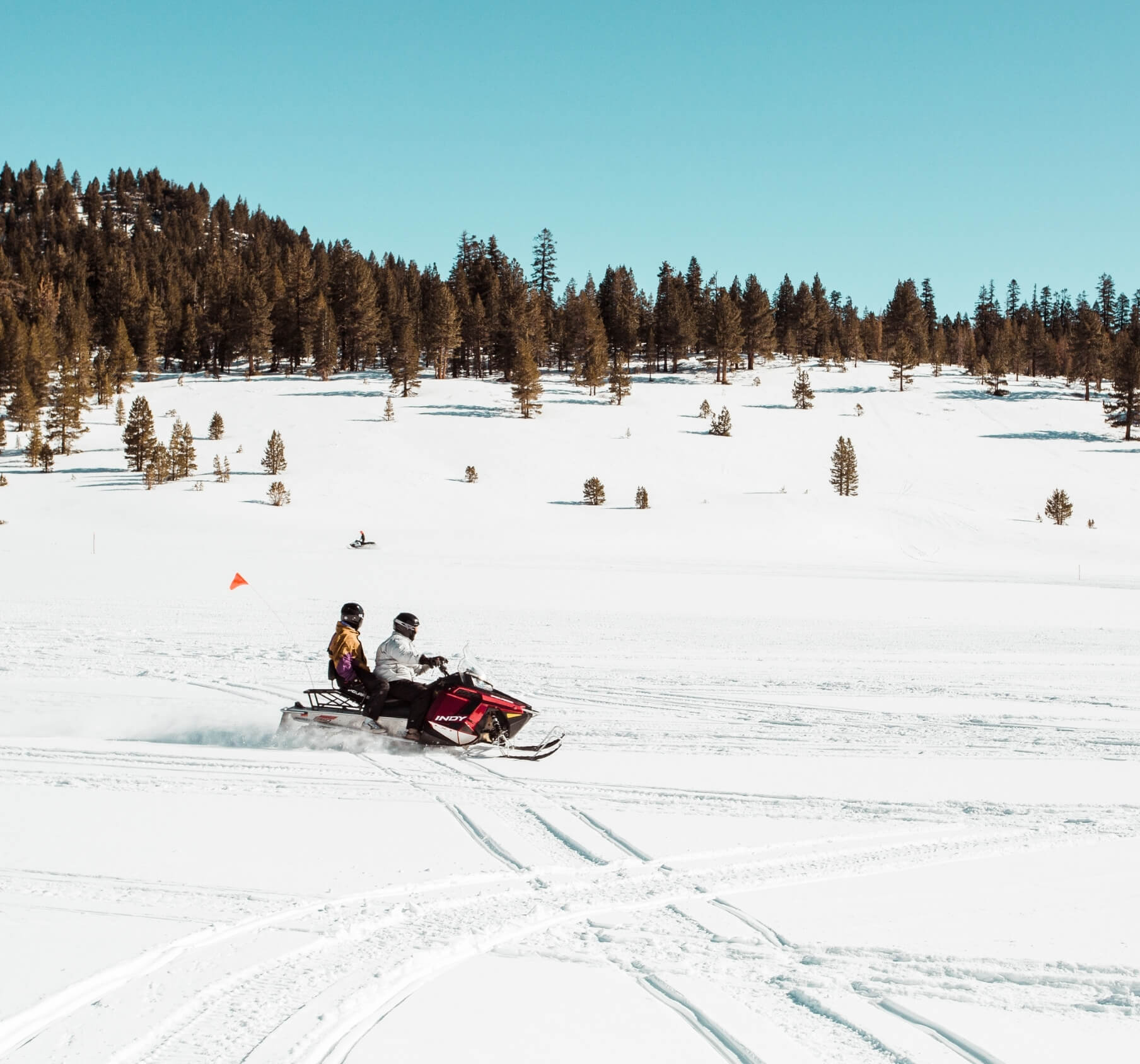 Backcountry Snowmobiling