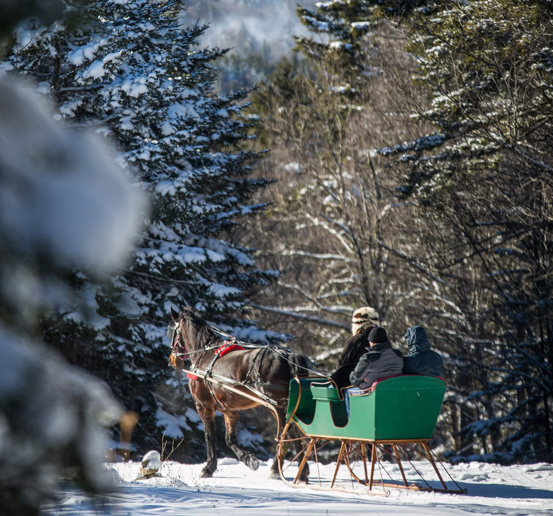 Hot Cocoa Sleigh Ride