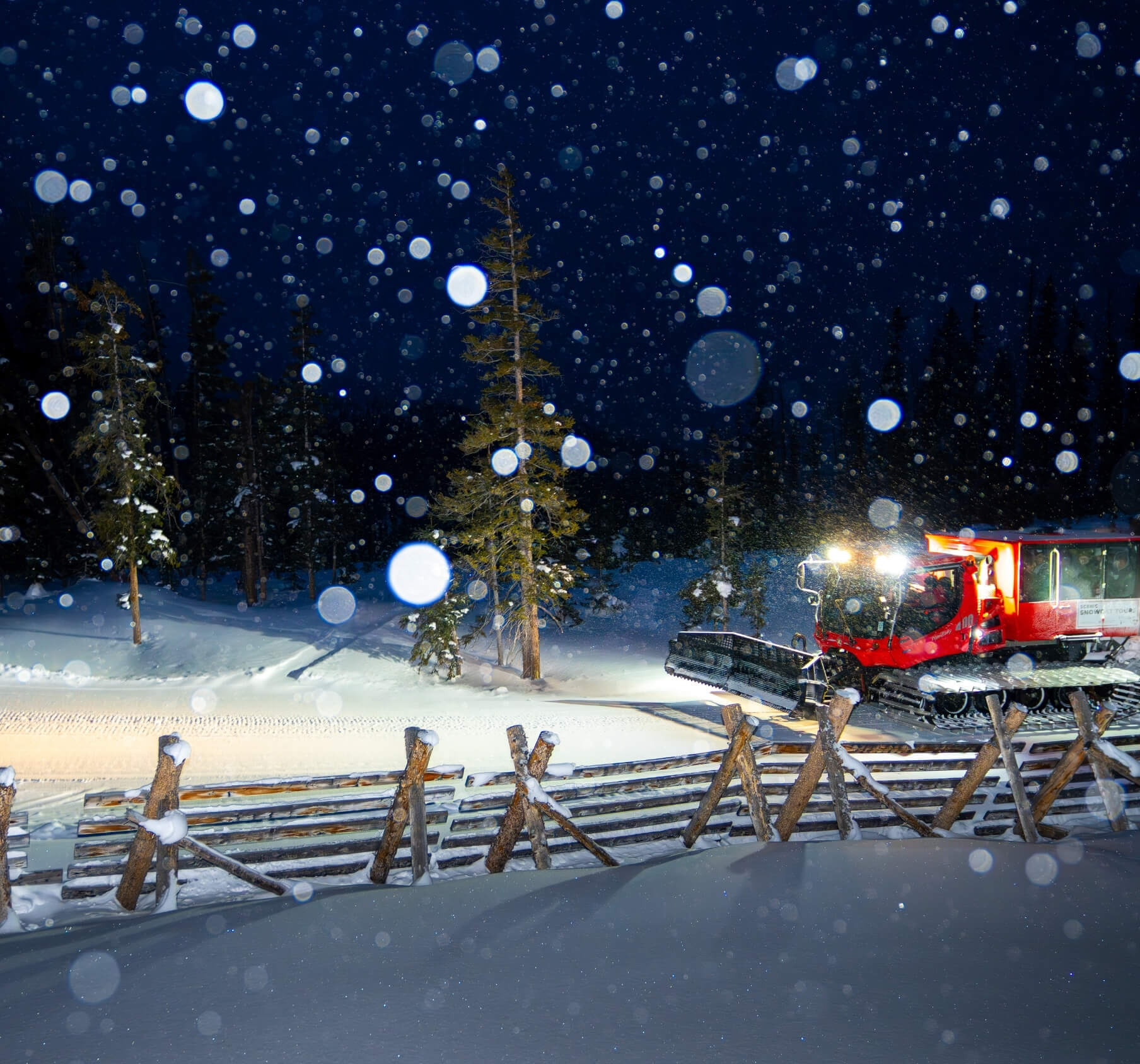 Snowcat Mountain Tour