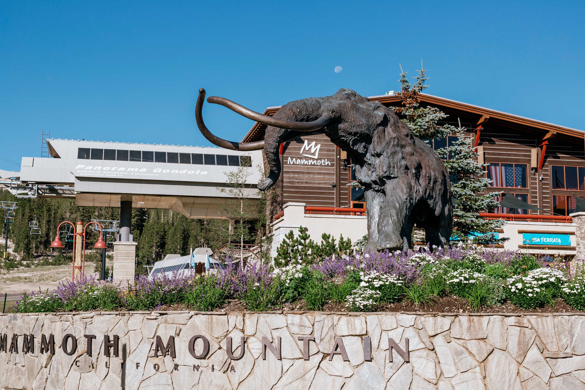 288416958 10157488954887395 2842840678843917852 n