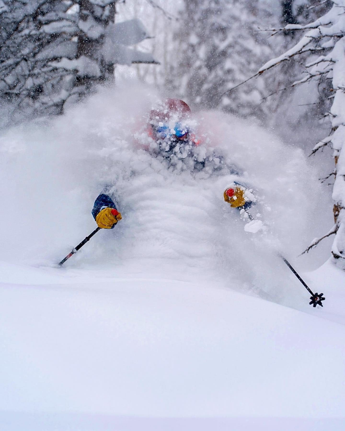 323876204 506074614724219 7811097621517640456 n