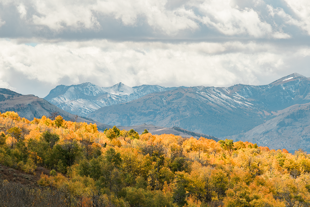 2018 10 06 MM SL Fall Colors 0018