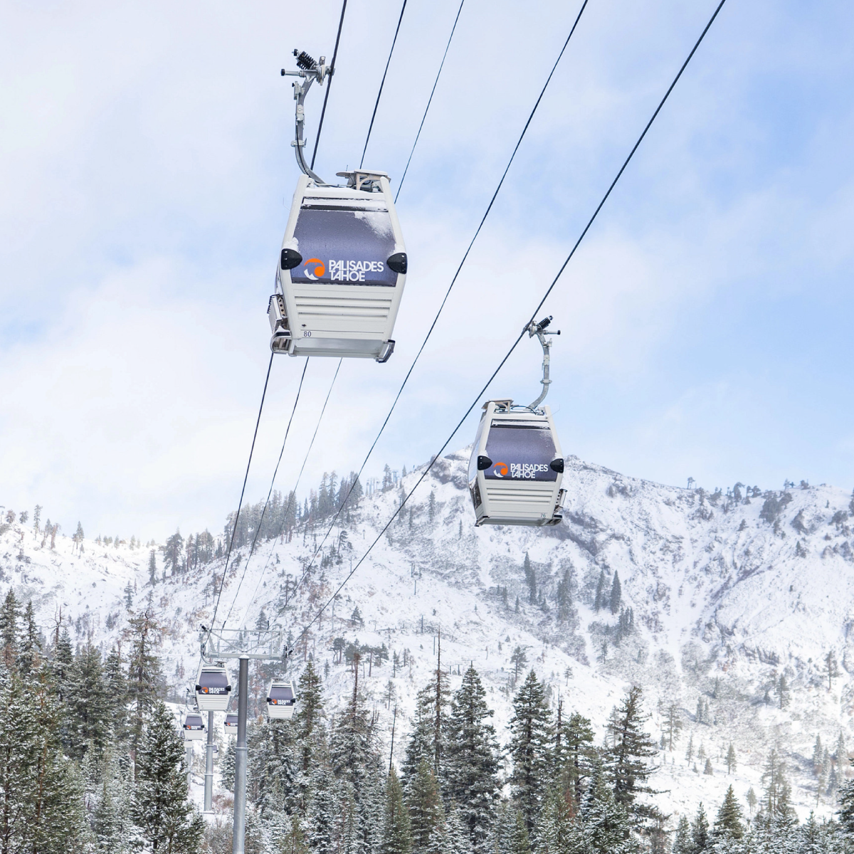 Base To Base Gondola Social