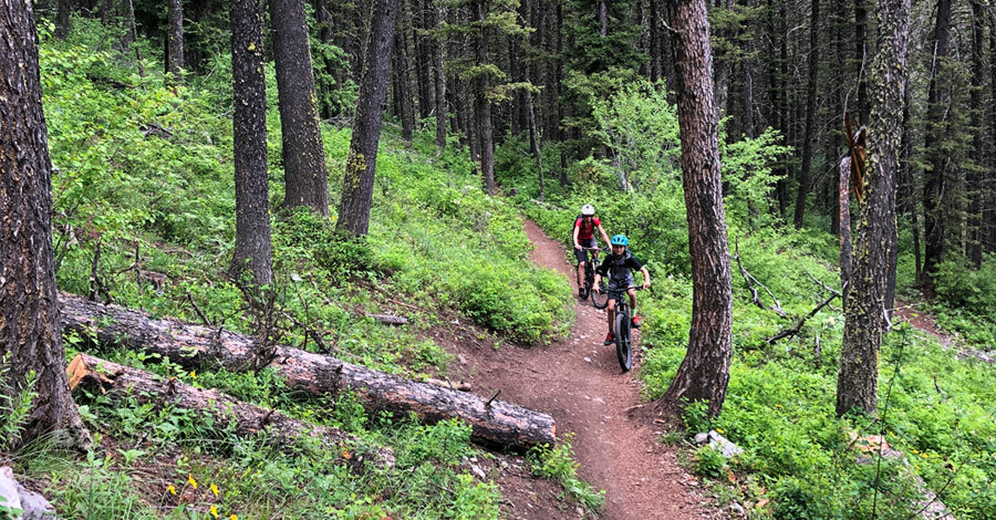 Jackson wyoming mtb with kids featured