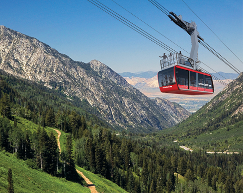 Red tram summer rendering