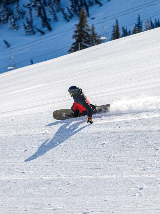 High Performance Snowboard